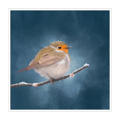 Dierenkaart roodborst in pastel 2