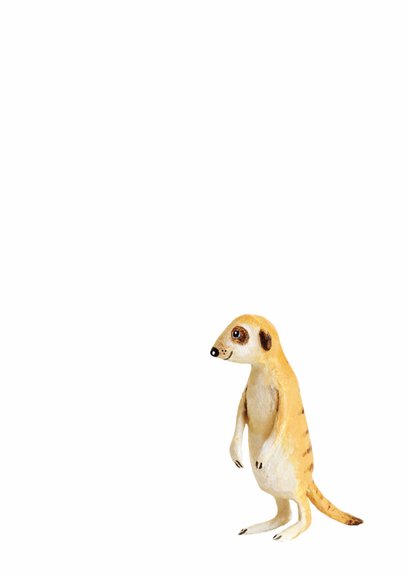 Dierenkaart stokstaartje zwarte stippen 3