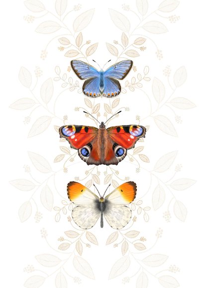 Dierenkaart vlinders botanisch 2
