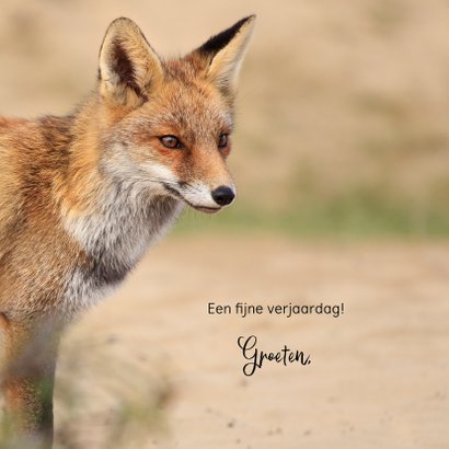 Dierenkaart vos in de duinen 3