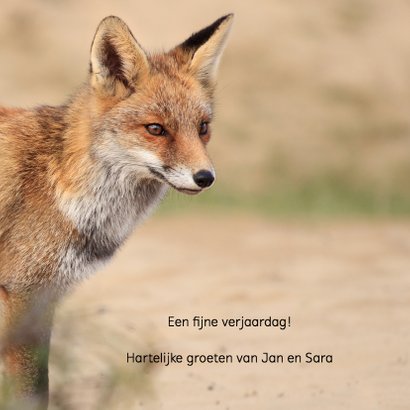 Dierenkaart vos in de duinen 3