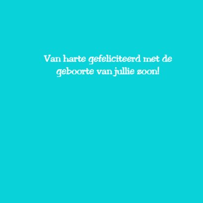 Dierentorentje 3
