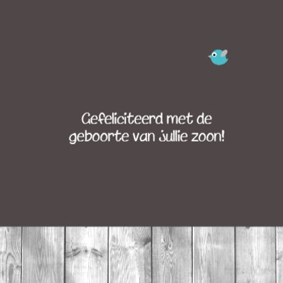 Dinosaurus met vogeltjes 3
