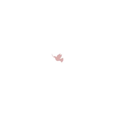 Doop bedankkaartje foto duifje roze Achterkant