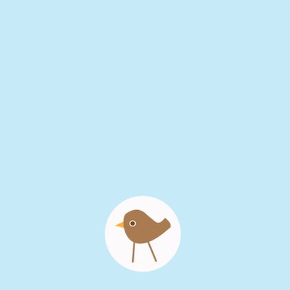 Doopkaart vogeltjes blauw 2