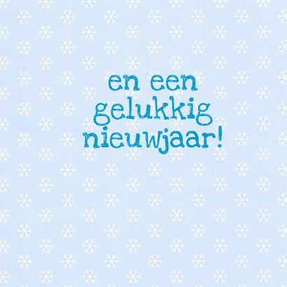 Drie beren in de sneeuw 3