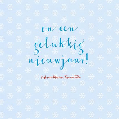 Drie beren in de sneeuw 3