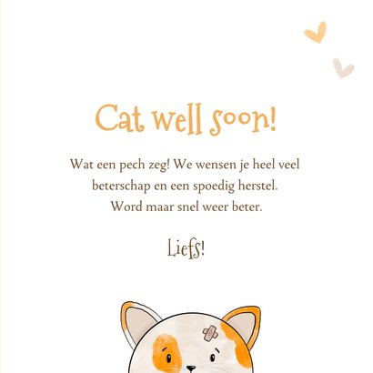 Een beterschapskaart voor een kattenliefhebber 3