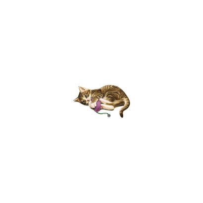 Een lieve kitten voor de liefste mama Achterkant