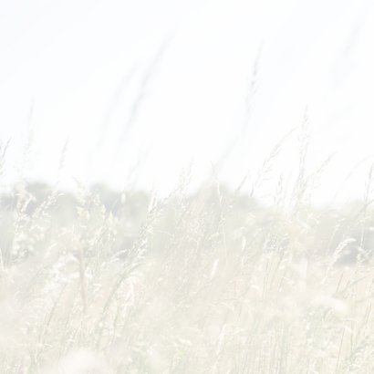 Een moment van rust natuurkaart 2