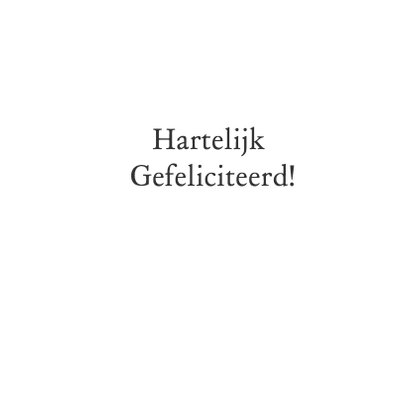 Een nieuwe woning antraciet 3