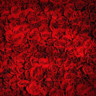 Een romantische anonieme valentijnskaart met rozen 2