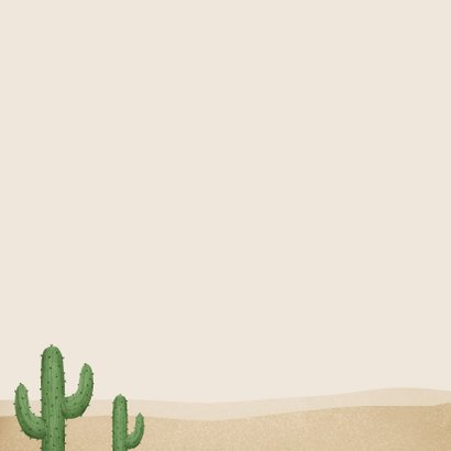 Einladung Cowboy & Indianer Kindergeburtstag Rückseite