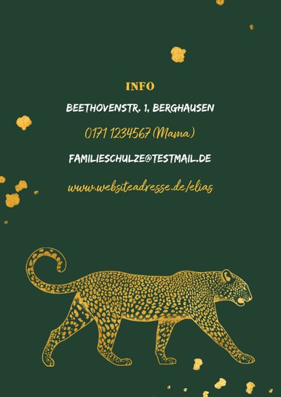 Einladung Kindergeburtstag Foto & Leopard 2