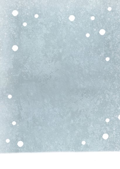 Einladung Winter-Kindergeburtstag Schlitten Rückseite