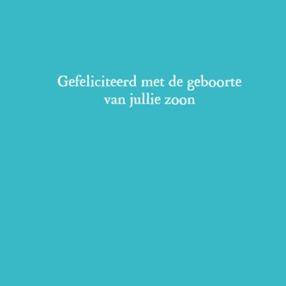Enjoy the world, jongen 3