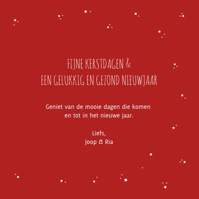 Feestdagen kaartje met 2 vrolijke sneeuwpoppen 3