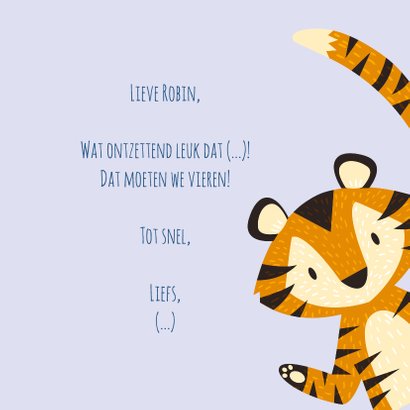 Feestelijke Tijger 3
