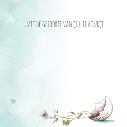 Felicitatie een welkom kindje 3