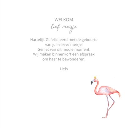 Felicitatie flamingo geboorte 3