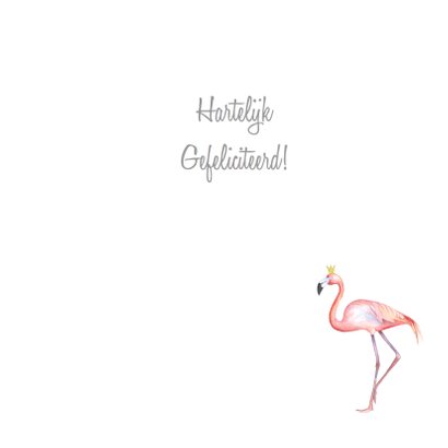 Felicitatie flamingo geboorte 3