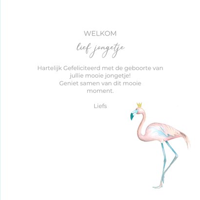 Felicitatie flamingo jongen 3