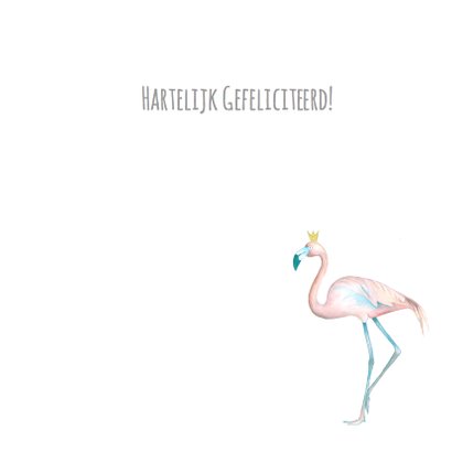 Felicitatie flamingo jongen 3