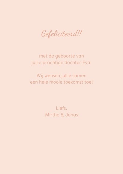 Felicitatie geboorte Anton Pieck ooievaar met baby naar huis 3