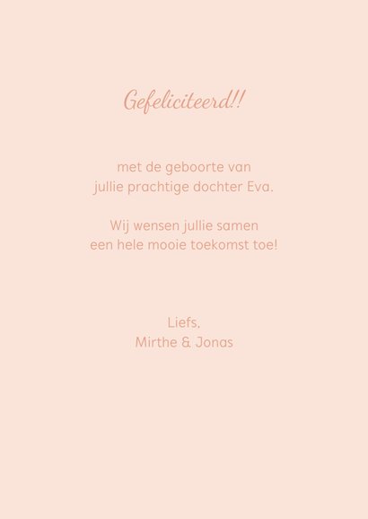 Felicitatie geboorte Anton Pieck ooievaar met baby naar huis 3