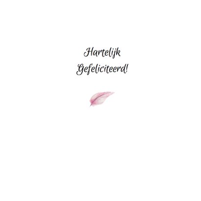 Felicitatie geboorte banner 3