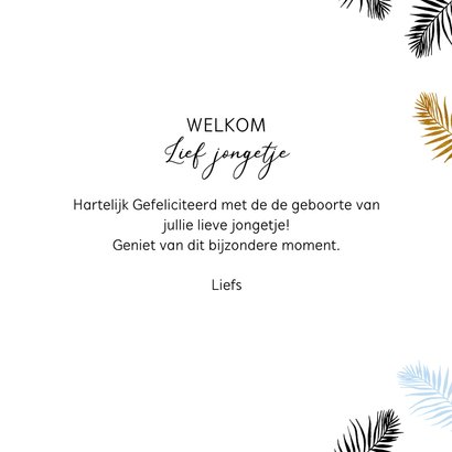 Felicitatie geboorte giraffe jongen 3