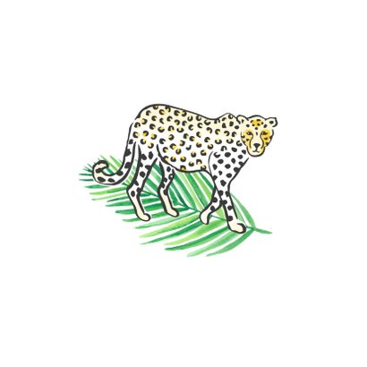 Felicitatie geboorte jaguar 2