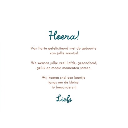 Felicitatie geboorte jongen eekhoorn met baby in bos 3