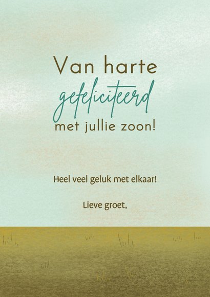 Felicitatie geboorte jongen loopeendjes in pastelkleuren 3