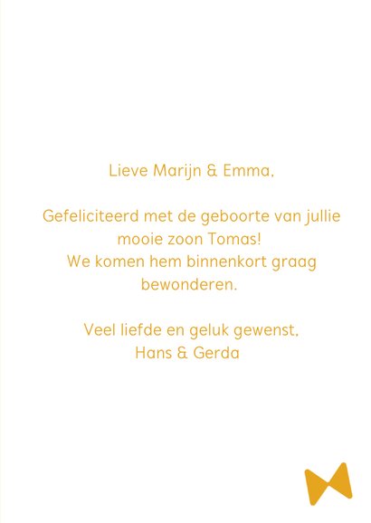 Felicitatie geboorte jongen met leeuw en strik 3