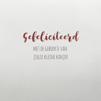 felicitatie geboorte kat en muis 3
