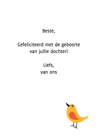 Felicitatie geboorte kinderwagen 3