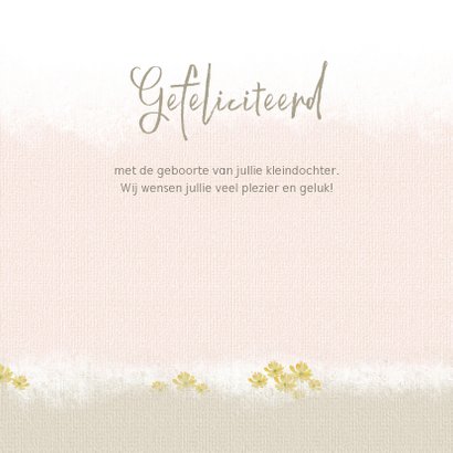 Felicitatie geboorte kleindochter - jong eendje 3