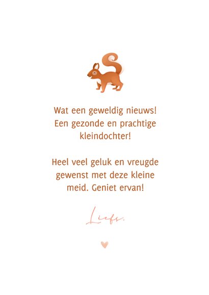 Felicitatie geboorte kleindochter rotan wiegje en eekhoorn 3