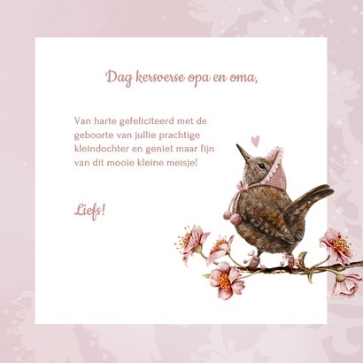 Felicitatie geboorte kleindochter vogeltje op bloesemtak 3