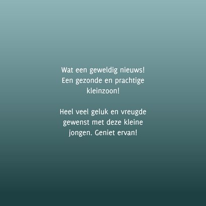  Felicitatie geboorte kleinzoon maan met wiegje en eekhoorn 3