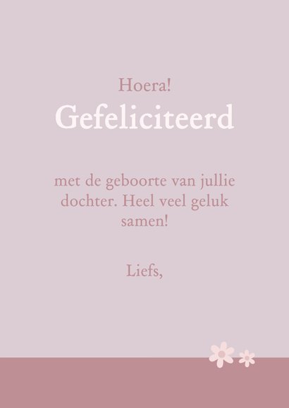 Felicitatie geboorte meisje met lief gansje 3