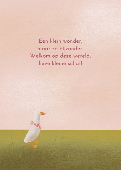 Felicitatie geboorte meisje met loopeendjes in pastelkleuren 2
