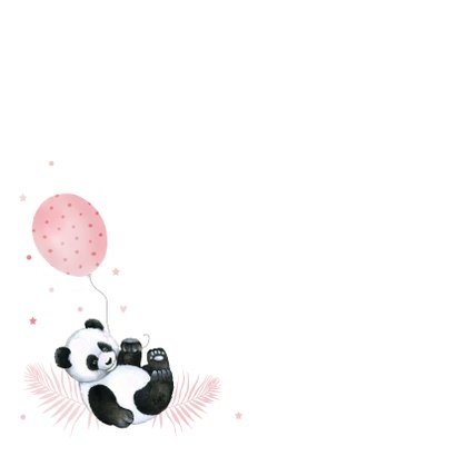 Felicitatie geboorte meisje pandabeertje 2