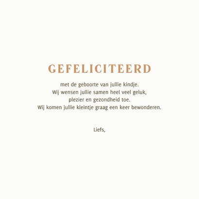 Felicitatie geboorte olifant met baby op de slurf 3