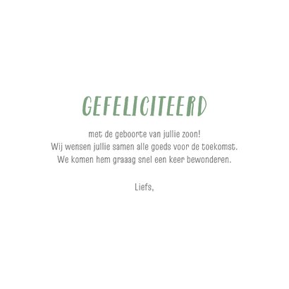 Felicitatie geboorte - olifant met gekleurde spetters 3