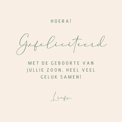 Felicitatie geboorte treintje met drie dieren 3