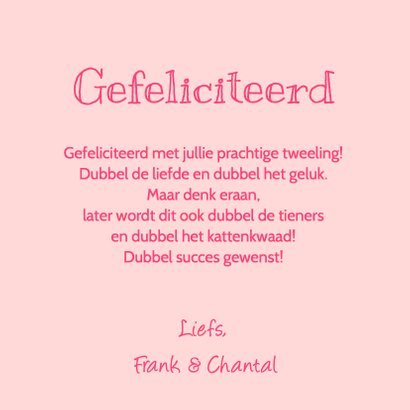 Felicitatie geboorte tweeling meisjes uiltjes 3