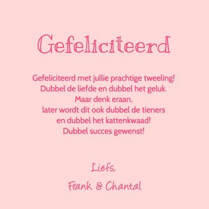 Felicitatie geboorte tweeling meisjes uiltjes 3