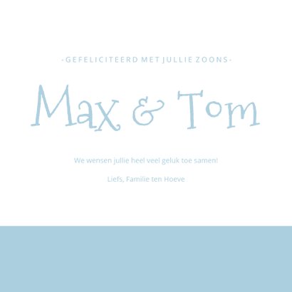 Felicitatie geboorte tweeling - silhouet van 2 jongens 3